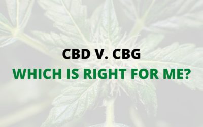 CBD V. CBG